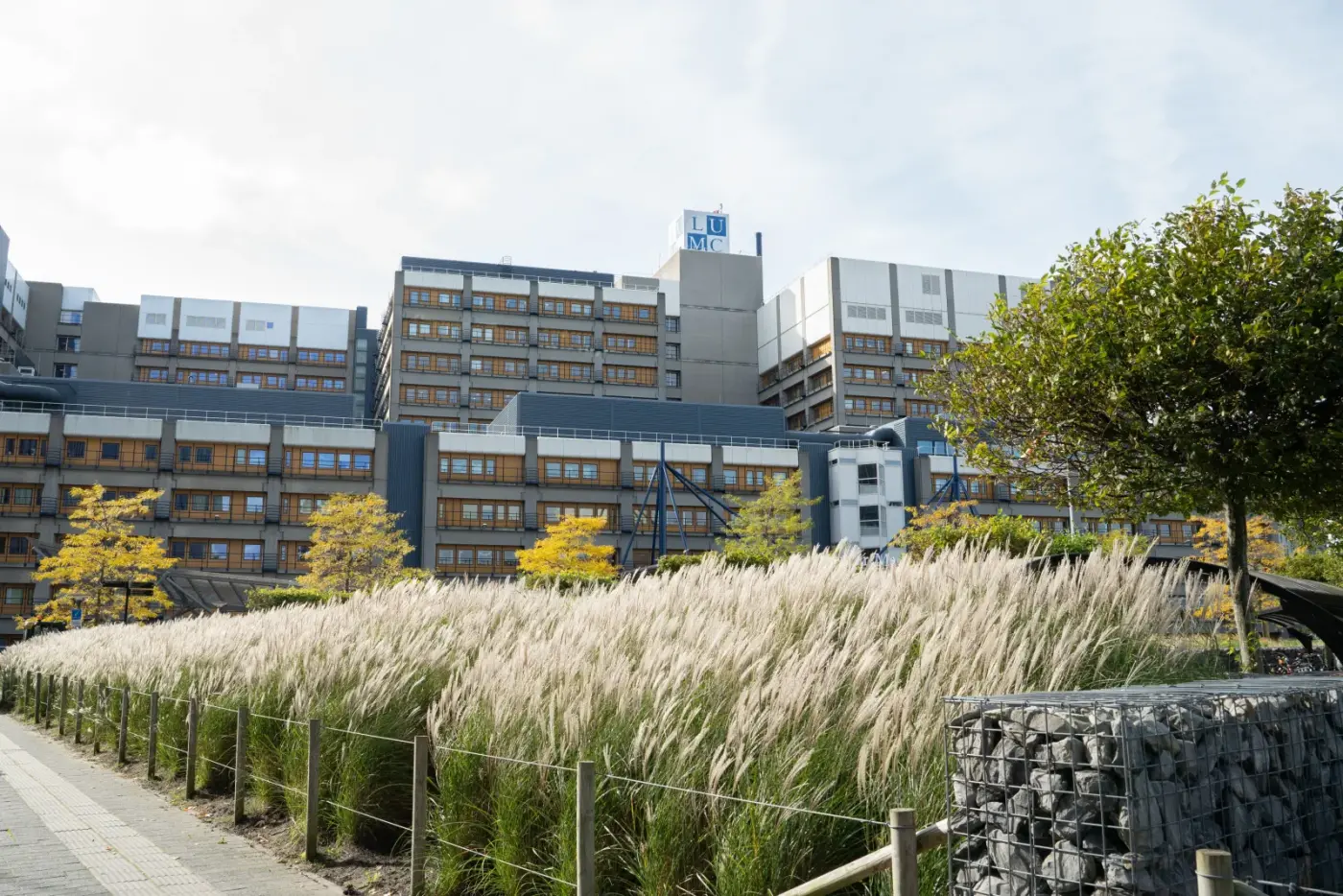 Voorkant van het hoofdgebouw van het LUMC met siergrassen op de voorgrond
