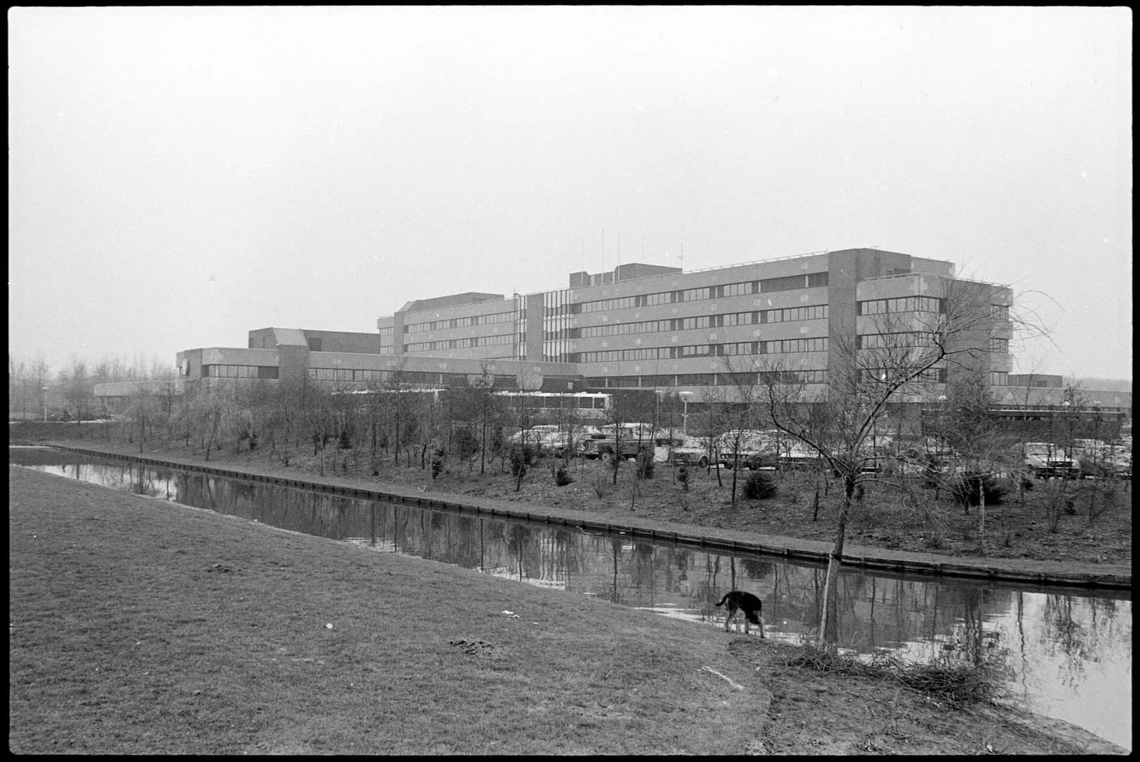 Archieffoto uit 1982: het toenmalige Sint Jozef Ziekenhuis aan de Mozartstraat in Heemskerk, gezien over het water. In dit gebouw uit 1978, nu Meerstate, zit de polikliniek van het RKZ.